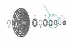 11761pp_20250805092308